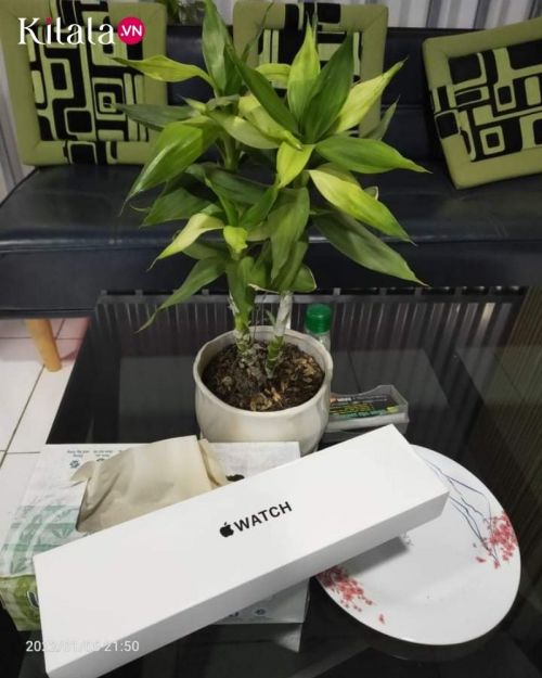 kansai giải ba kansai giải ba